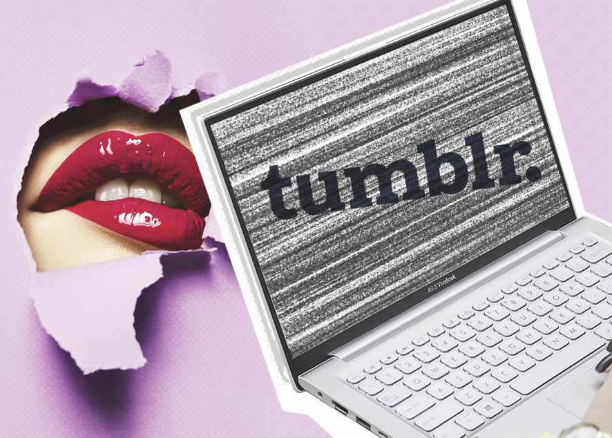 6 площадок для сексуального контента, которые пришли на замену Tumblr На что стоит подписаться, если хочется обсудить секс.